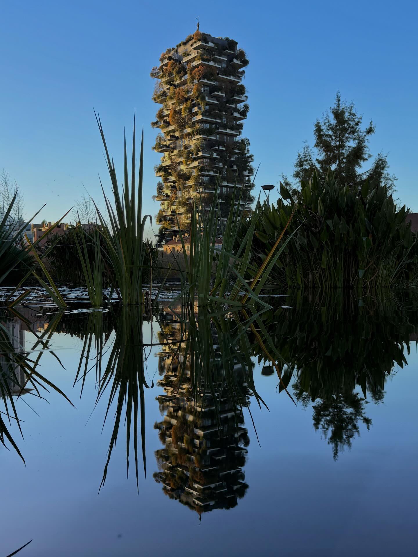 Il Bosco Verticale riflesso nello stagno del parco Biblioteca degli Alberi in autunno.